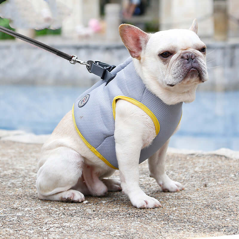 Veste de refroidissement pour chien grise avec détails jaunes, idéale pour l'été et la prévention des coups de chaleur.