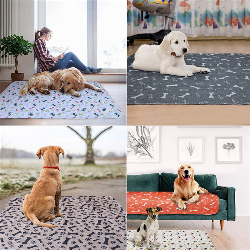 Couches Lavables en PVC pour Animaux de Compagnie