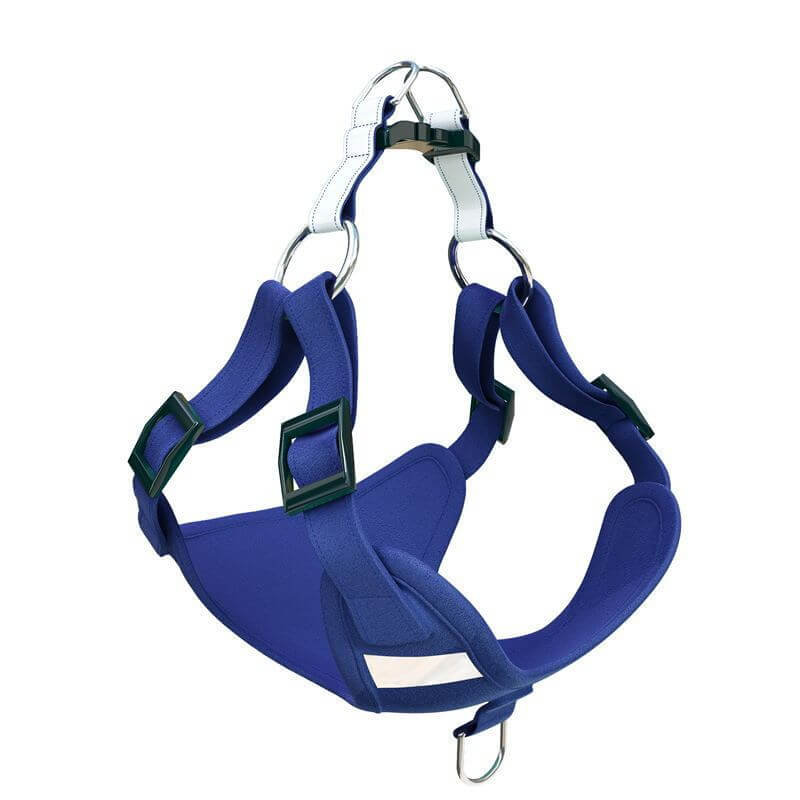 Harnais pour chien en suède bleu, sécuritaire et confortable pour les promenades.