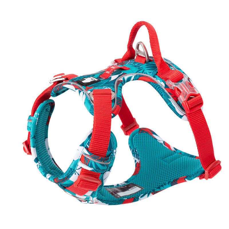 Harnais ajustable en style gilet pour chiens, couleur turquoise et rouge, conçu pour le confort et la sécurité des animaux.