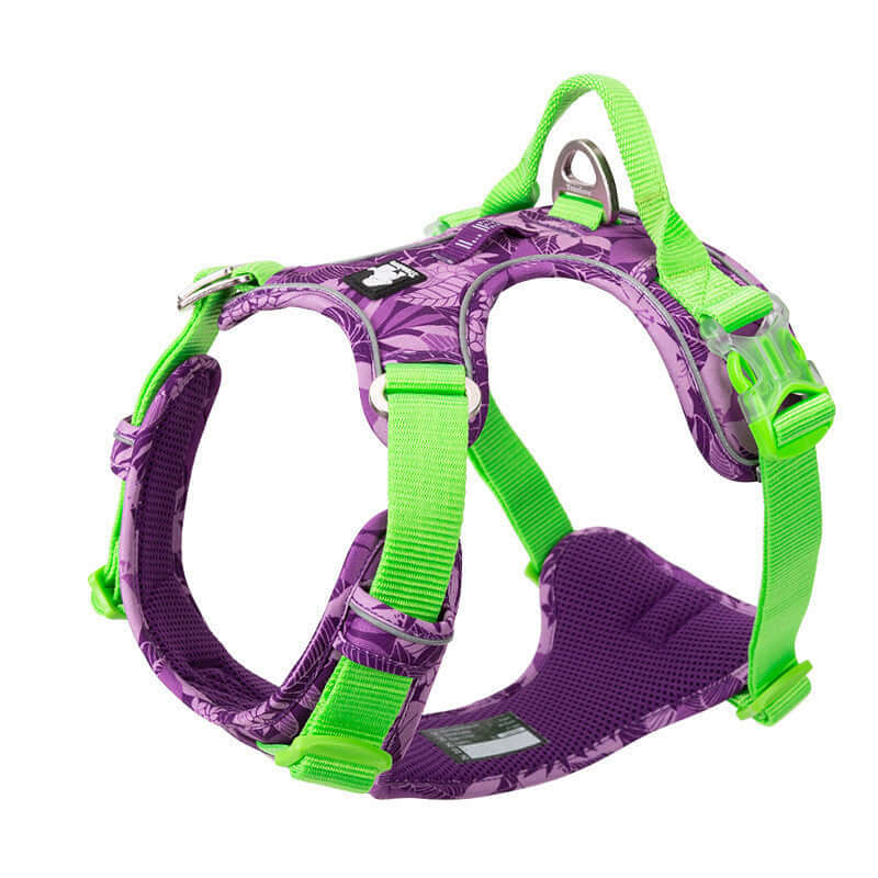Harnais ajustable en style gilet pour chien, conçu pour le confort et la sécurité avec des matériaux de haute qualité.