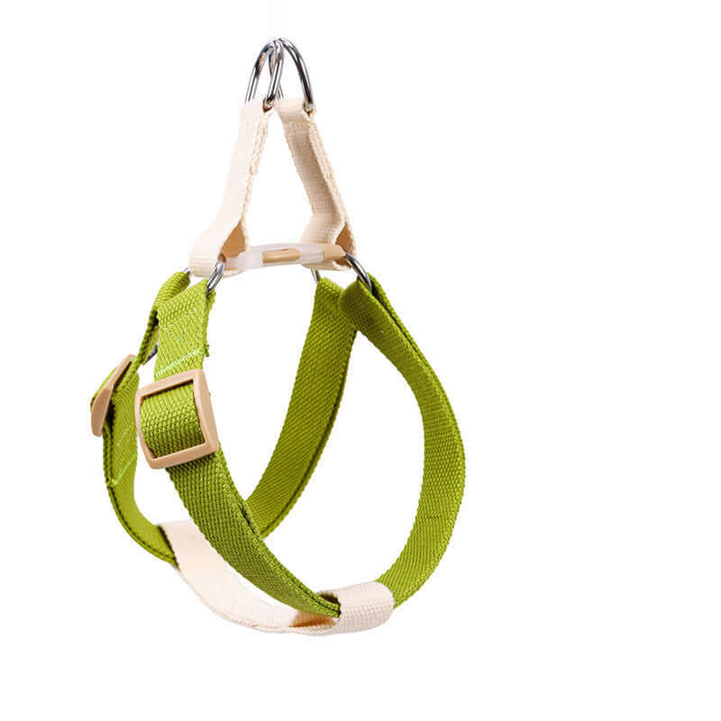Harnais de sécurité pour chien en nylon vert, idéal pour les promenades confortables et sûres.