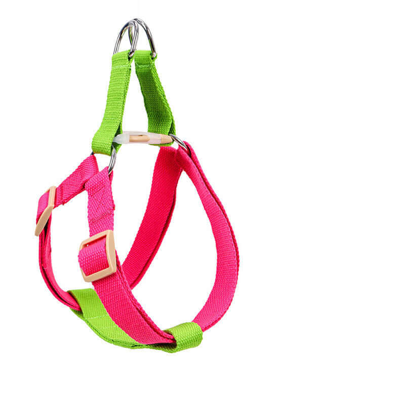 Harnais coloré pour chien en coton, durable et confortable, adapté aux promenades avec des animaux de taille moyenne.