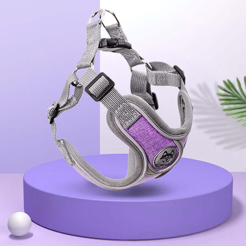 Harnais de poitrine confortable pour chien en gris et violet, idéal pour petites et moyennes tailles.