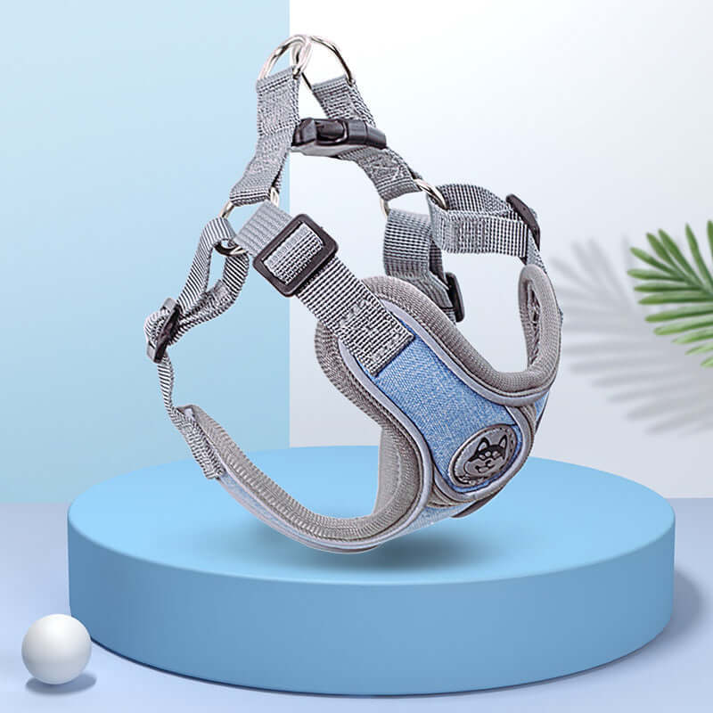 Harnais confortable pour chien de petite taille, conçu pour la sécurité lors des promenades.