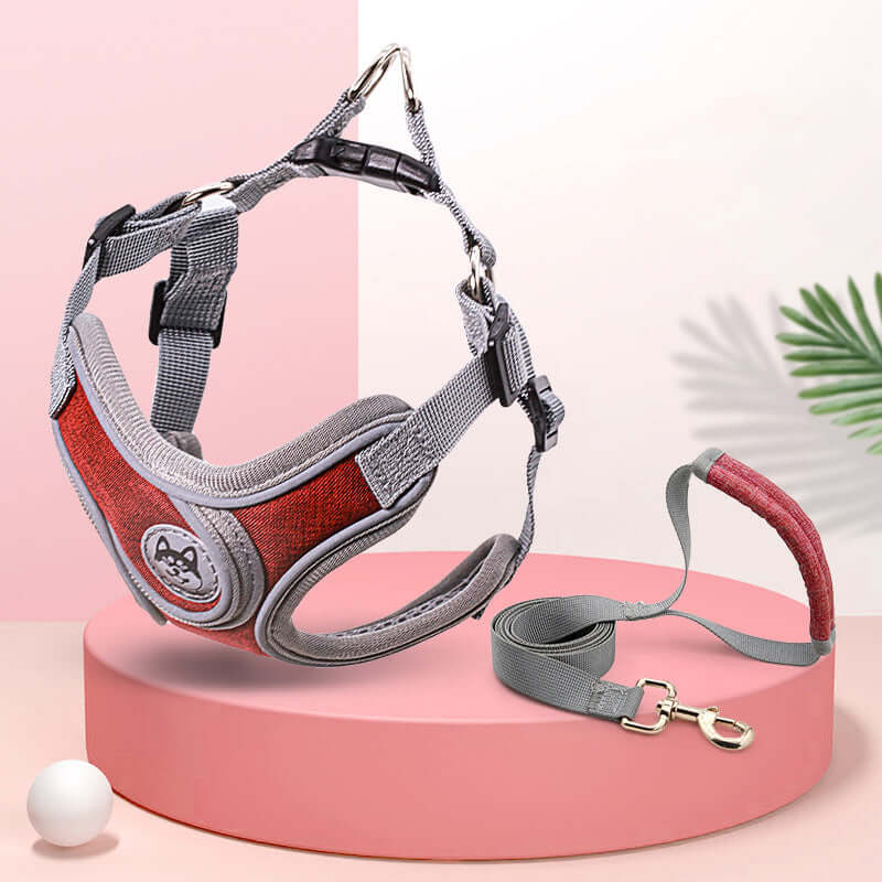 Laisse de chien avec harnais confortable en coton biologique, idéale pour les petites et moyennes races.