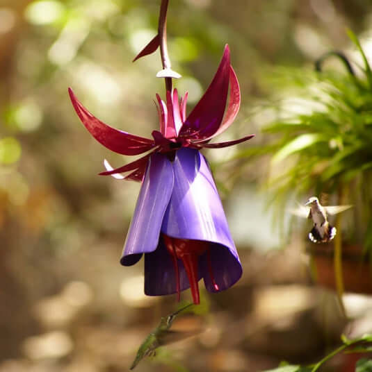 Mangeoire à oiseaux en forme de fleur coneflower rose, décorative et fonctionnelle pour le jardin.