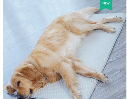 Tapis de Chien Été - Matelas Réversible et Lavable