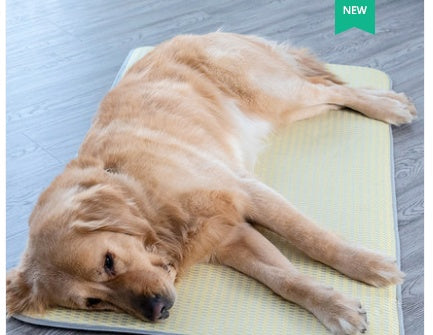 Tapis de Chien Été - Matelas Réversible et Lavable