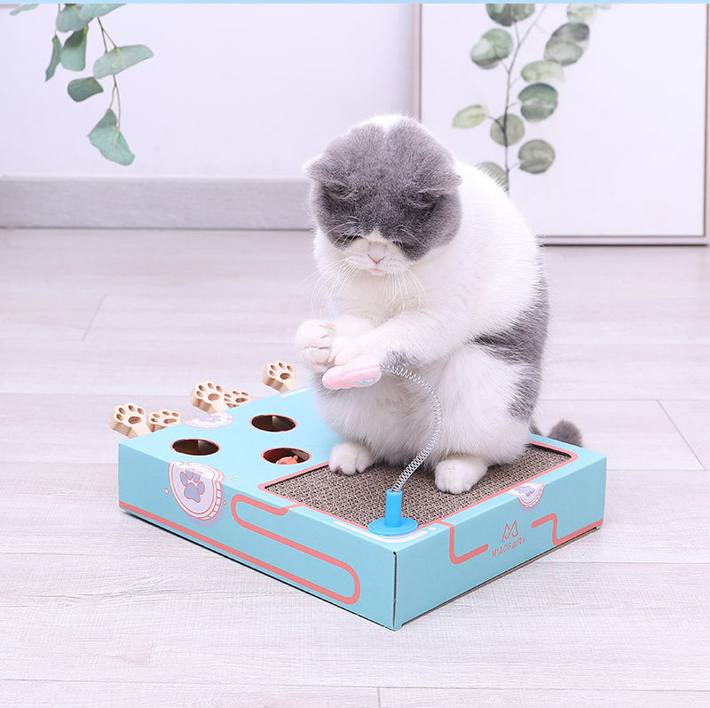 Jouet pour Chat Teaser Whack-A-Mole