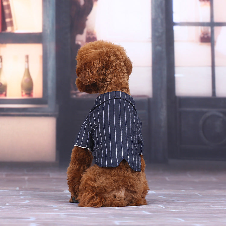 Petit chien en costume d'été stylé à rayures, parfait pour les promenades et occasions spéciales.