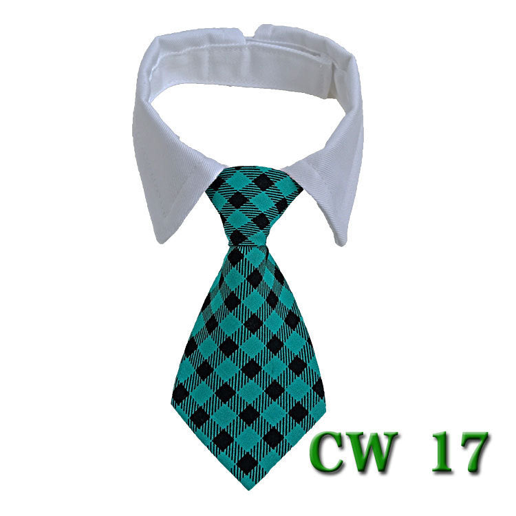 Nœud papillon à rayures turquoise et noir avec col blanc pour chien, accessoire élégant.