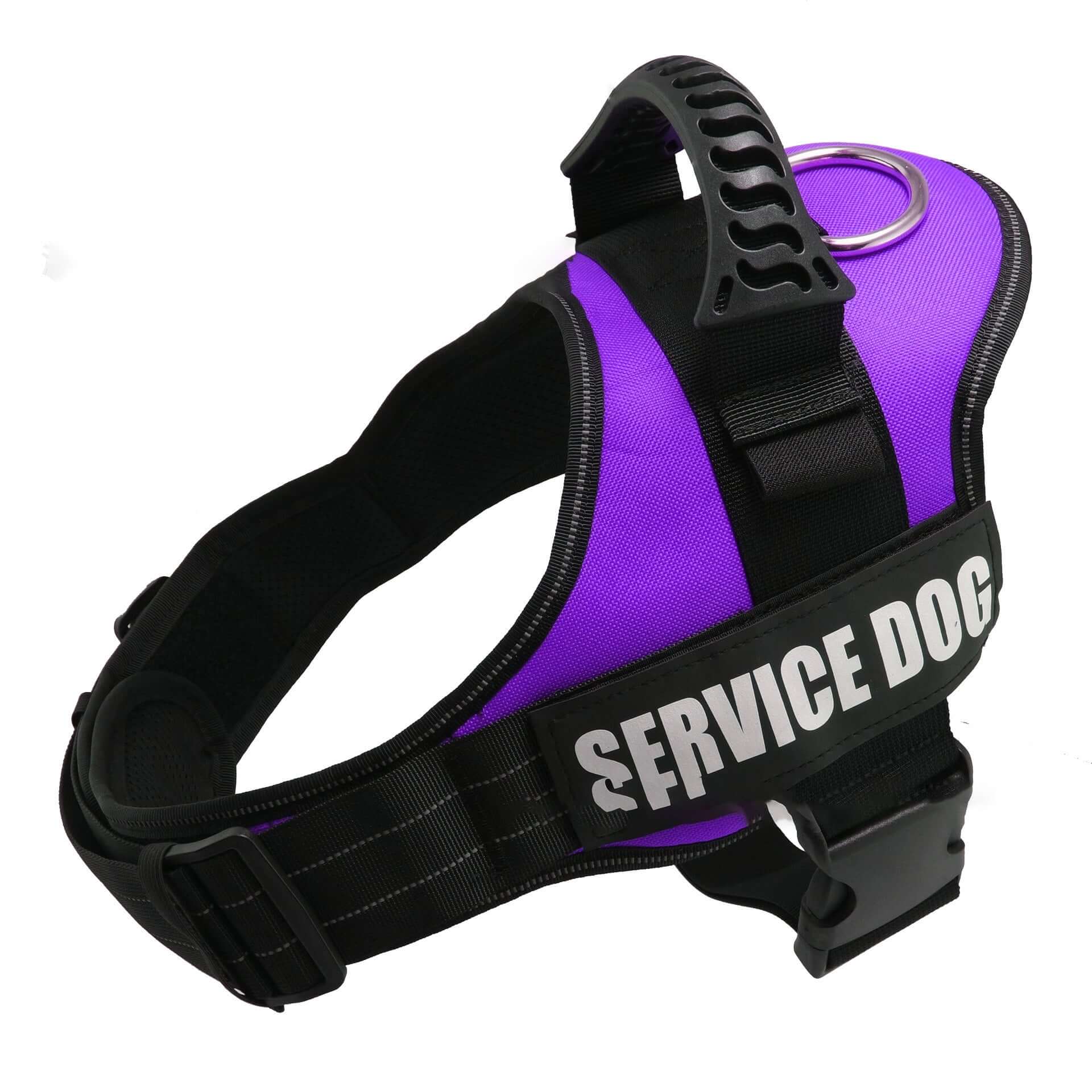 Harnais ajustable pour chien en nylon violet, conçu pour le confort et la sécurité des animaux.
