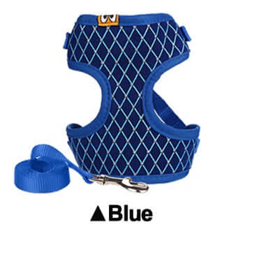 Harnais et laisse en strass pour chiens en bleu, confortable et respirant pour les promenades.