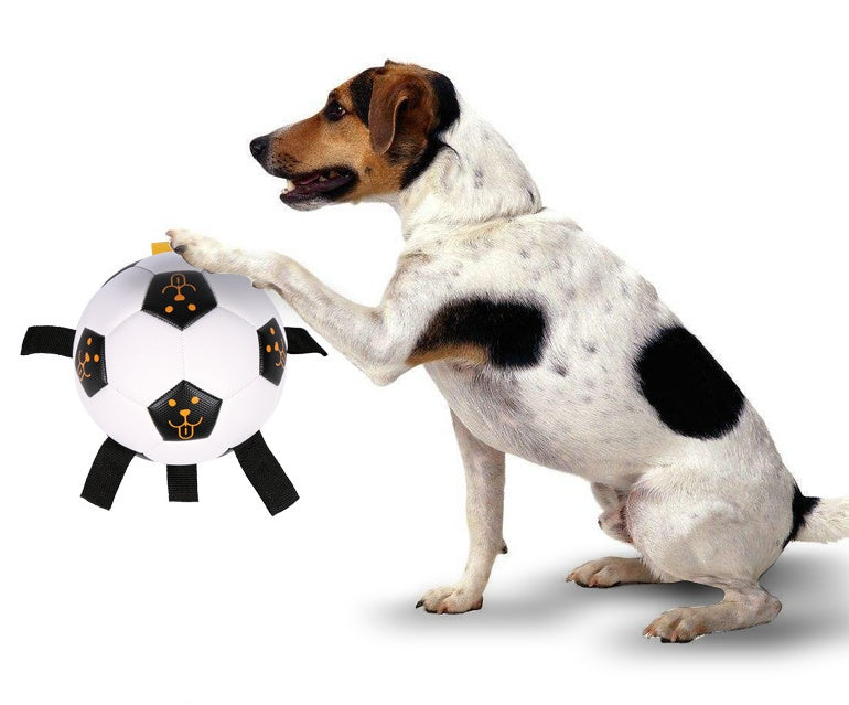 Jouet de Chien Multifonctionnel en TPU - Ballon de Football