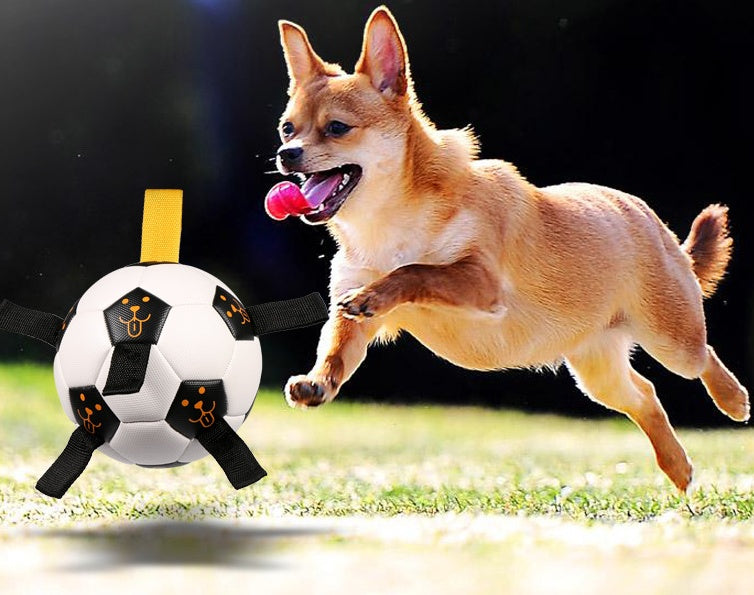 Jouet de Chien Multifonctionnel en TPU - Ballon de Football