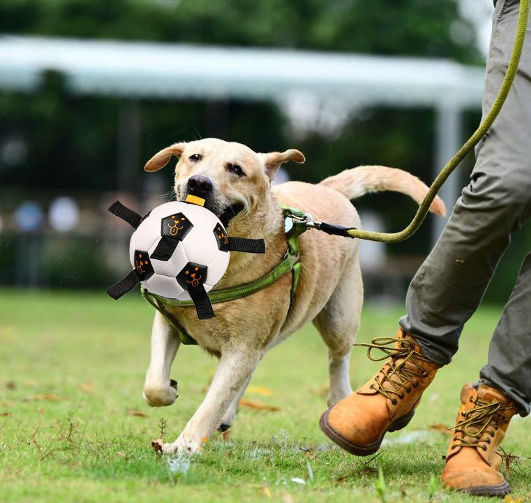 Jouet de Chien Multifonctionnel en TPU - Ballon de Football