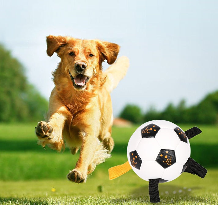 Jouet de Chien Multifonctionnel en TPU - Ballon de Football