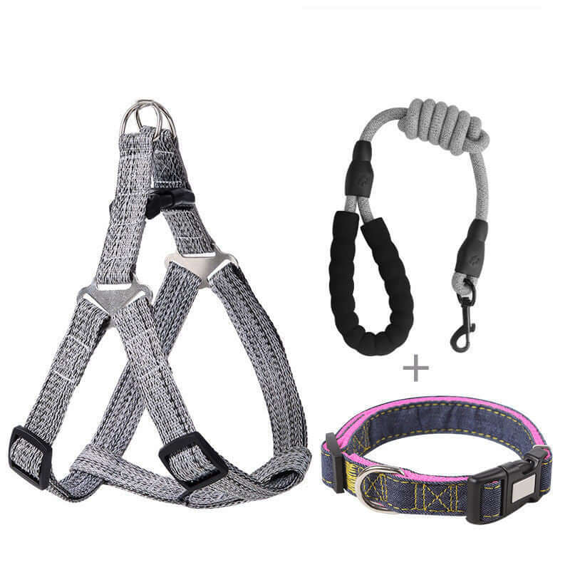 Collier pour chien, harnais de sécurité et laisse robuste, accessoires pour animaux de compagnie en coton biologique.