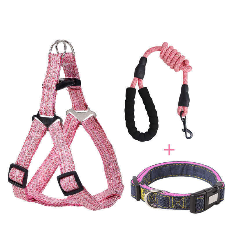 Ensemble de lanière rose, laisse rétractable et collier pour chien, conçu pour confort et sécurité.
