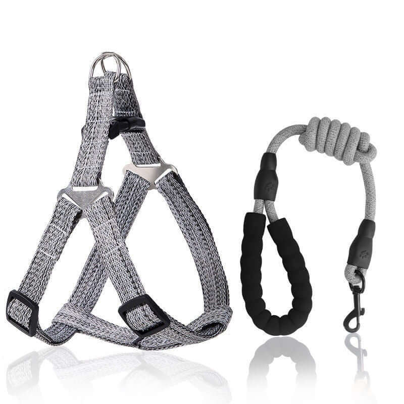 Laisse rétractable antidéflagrante et harnais pour chien, conçu pour le confort et la sécurité lors des promenades.