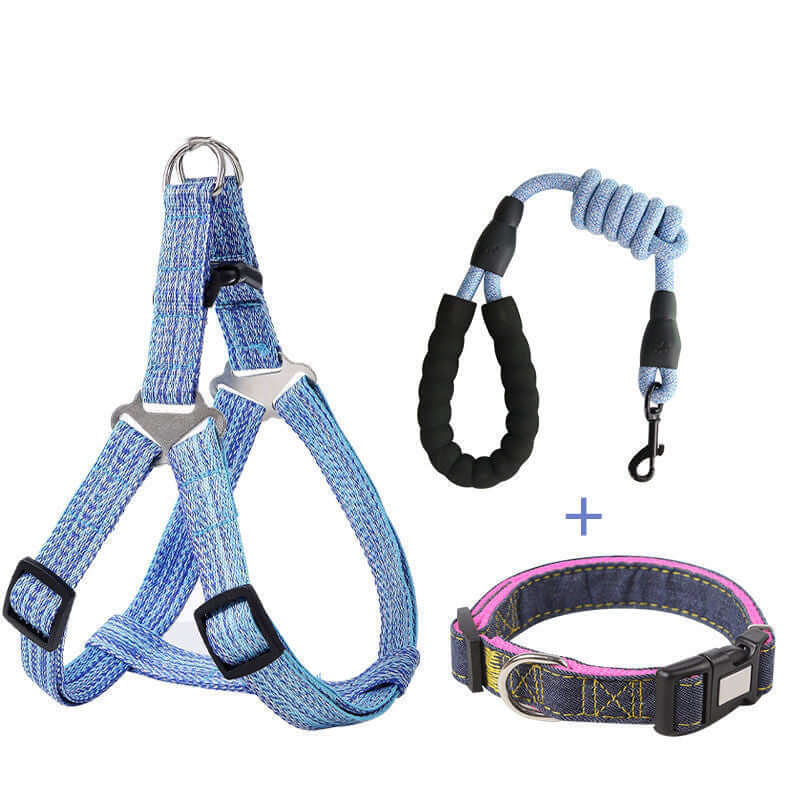 Harnais et laisse rétractable bleu pour chien, inclut collier assorti, accessoires confortables et sécurisés.