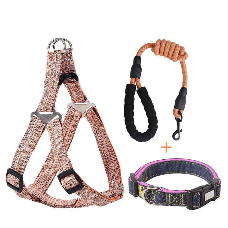 Sélection de laisse rétractable, harnais et collier pour chien en matériaux résistants et confortables.