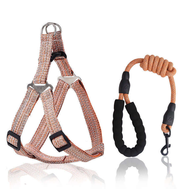 Laisse rétractable antidéflagrante et harnais pour chien, sécurisés et confortables pour les promenades.