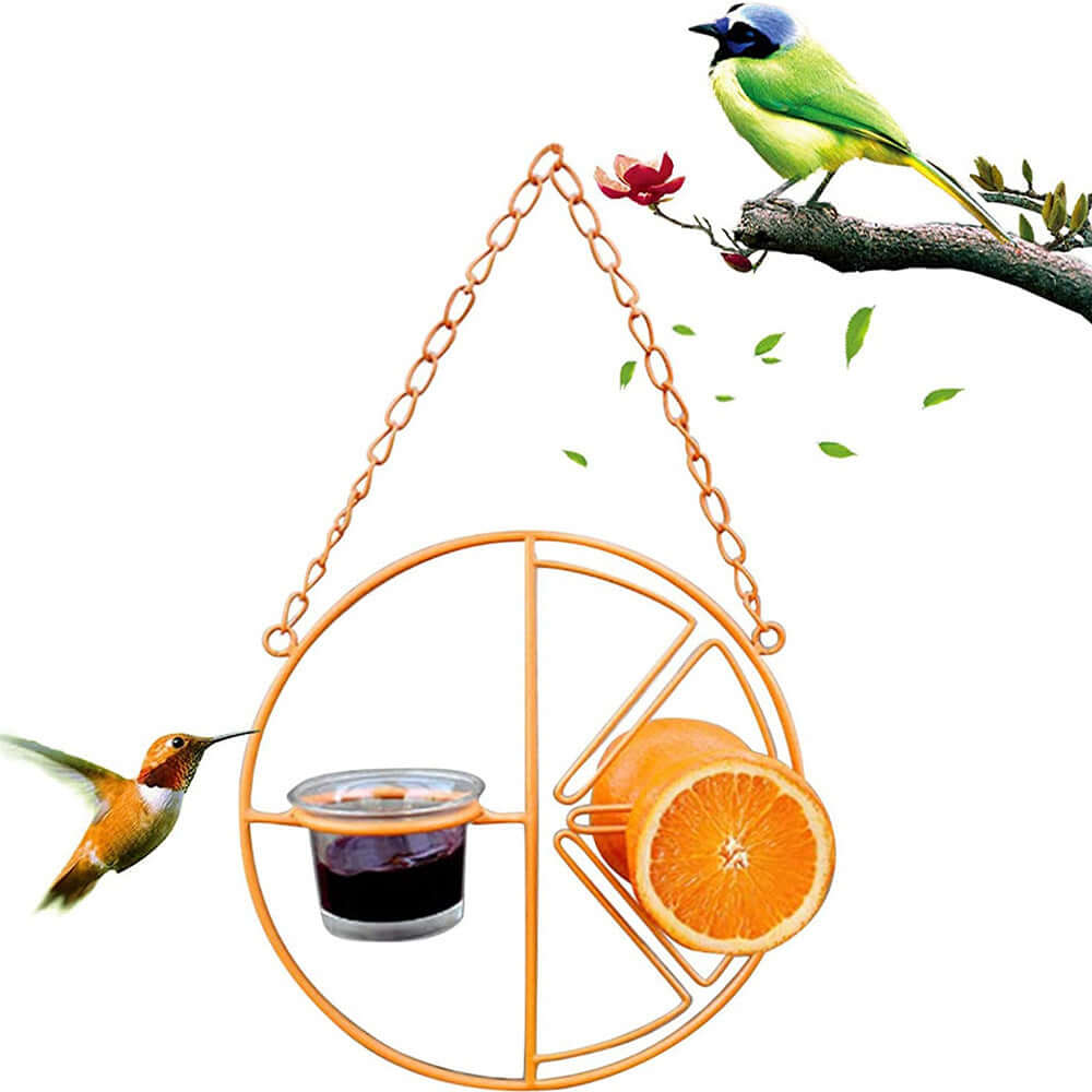 Distributeur d'eau et de nourriture pour oiseaux en plein air en orange, offrant des oranges et de la gelée.