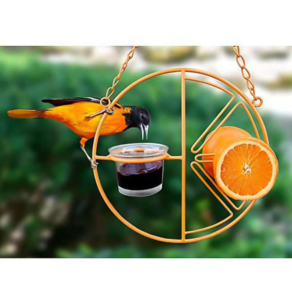 Distributeur d'eau et de nourriture en orange, attirant les oiseaux dans un jardin.