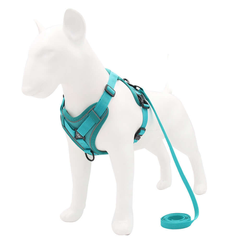 Harnais réfléchissant en nylon pour chien de couleur turquoise avec laisse, conçu pour sécurité et confort.