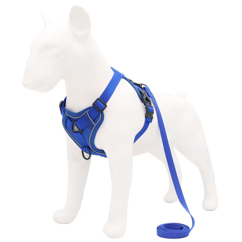 Harnais réfléchissant en nylon bleu pour chien avec laisse, assurant sécurité et confort lors des promenades.