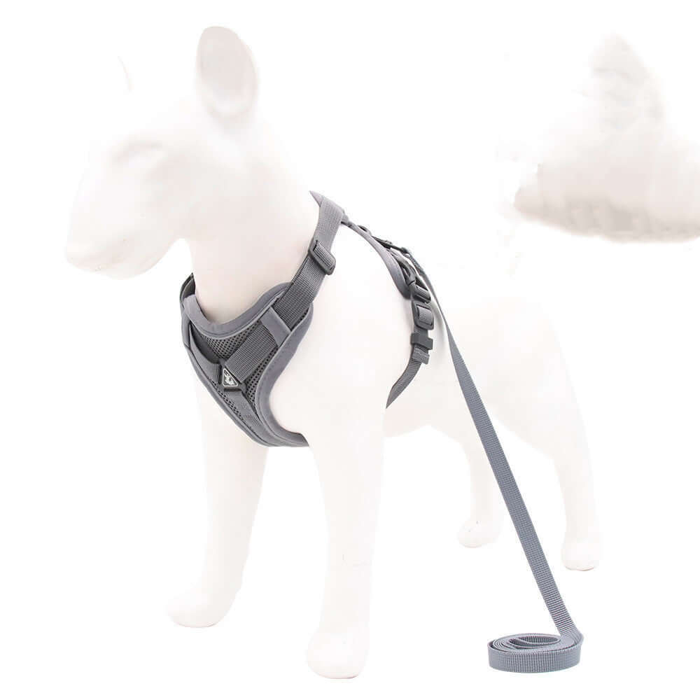 Harnais réfléchissant en nylon pour chien, gris, avec laisse assortie, offrant confort et sécurité lors des promenades.