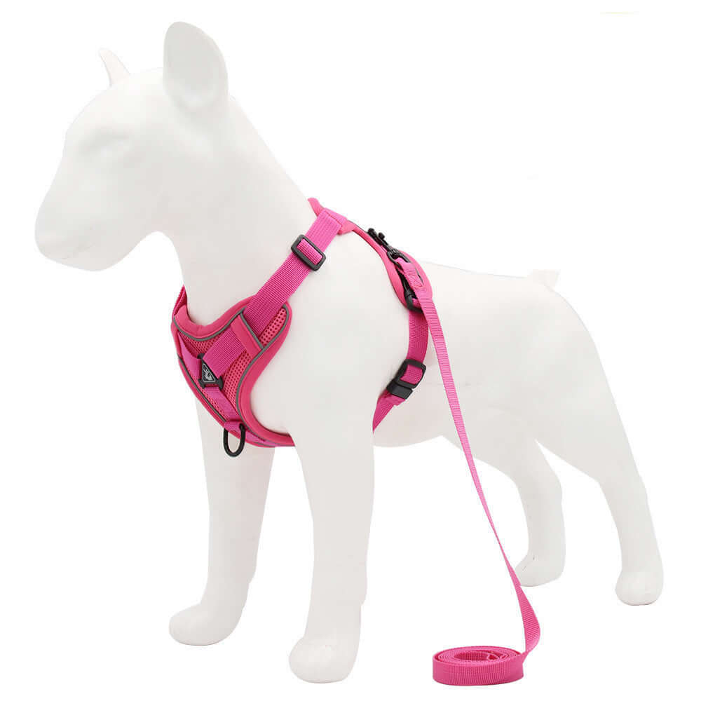 Harnais réfléchissant en nylon rose pour chien avec laisse assortie, offrant confort et sécurité lors des promenades.