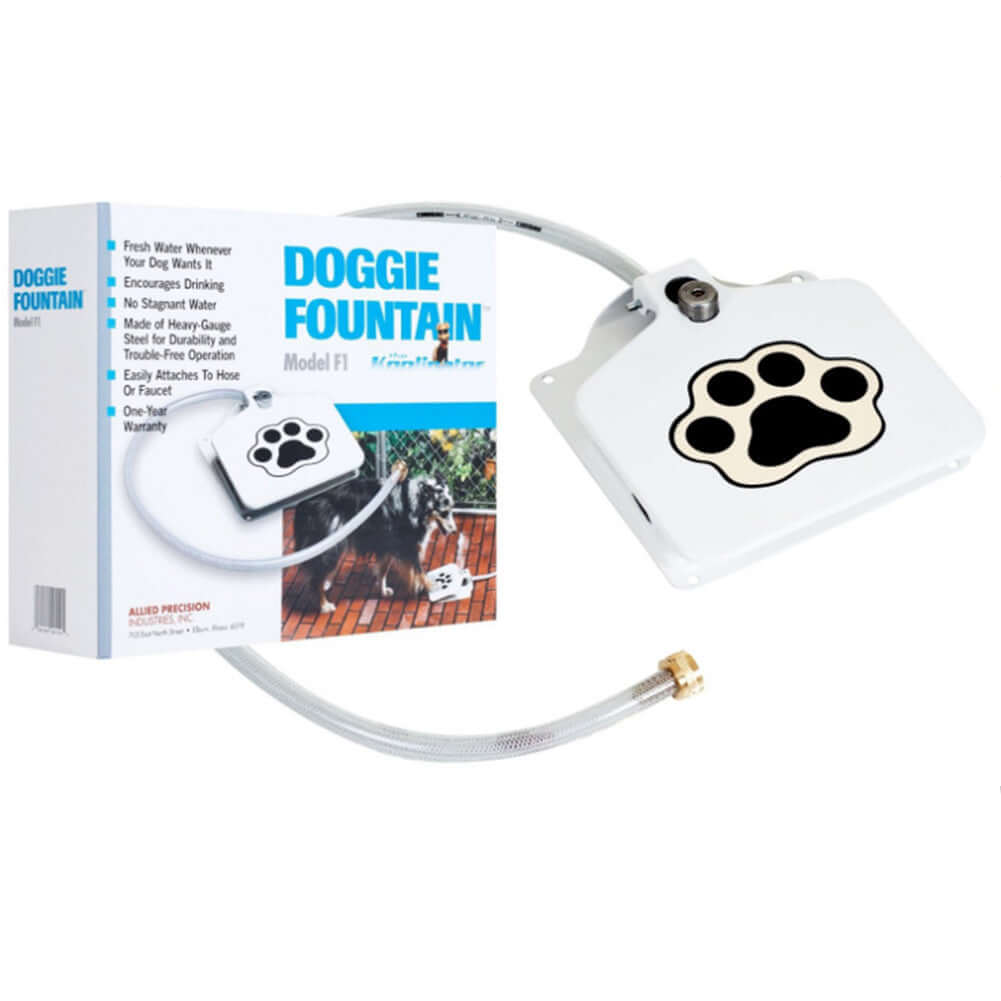 Distributeur d'eau automatique pour chiens, fontaine à boire avec tuyau PVC et design en fer.