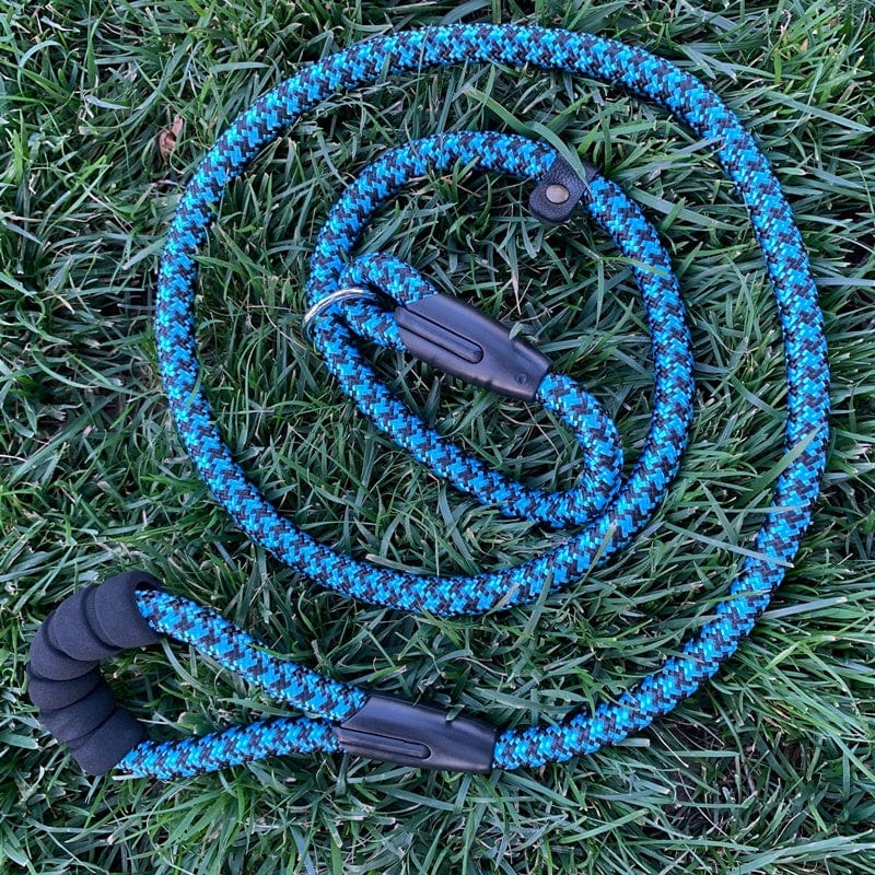 Chaine pour chien résistante avec un design bleu, idéale pour grandes tailles, sur herbe verte.
