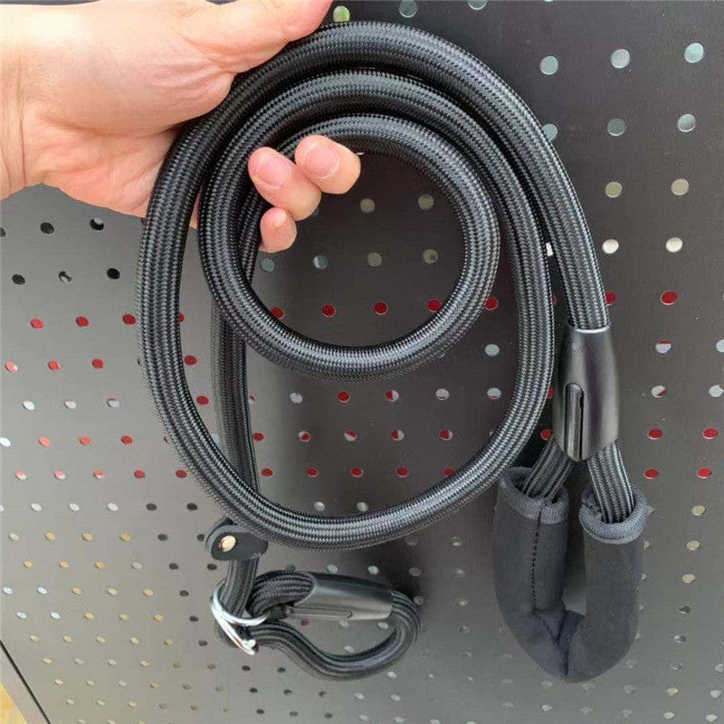 Laisse pour chien de grande taille, résistante et confortable avec poignée ergonomique, idéale pour les promenades.