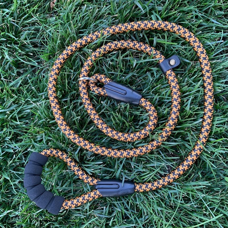 Chaine pour chien robuste avec design noir et orange, idéale pour chiens de grande taille, sur herbe verte.