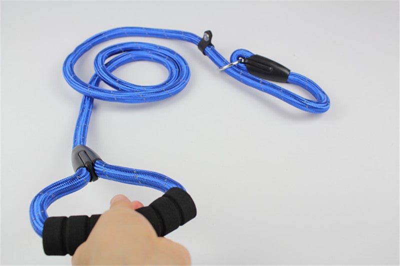 Laisse pour chien en nylon bleu avec poignée confortable et fixation sécurisée, idéale pour la promenade des chiens.