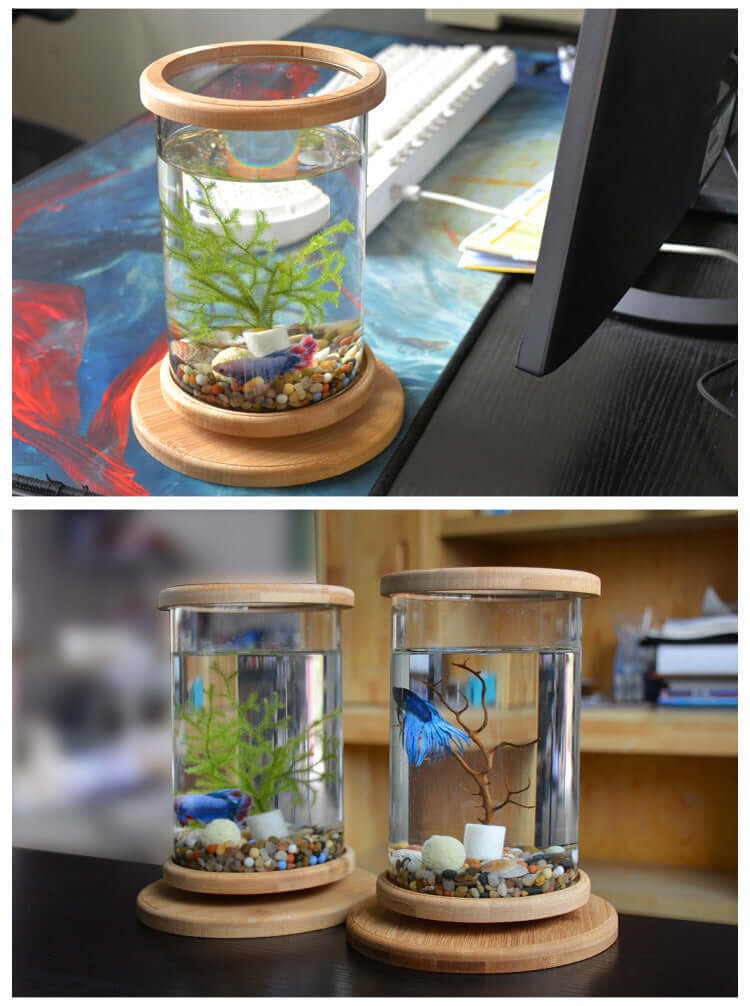 Mini aquarium en verre avec base en bambou, décoratif et apaisant, idéal pour bureau ou maison.