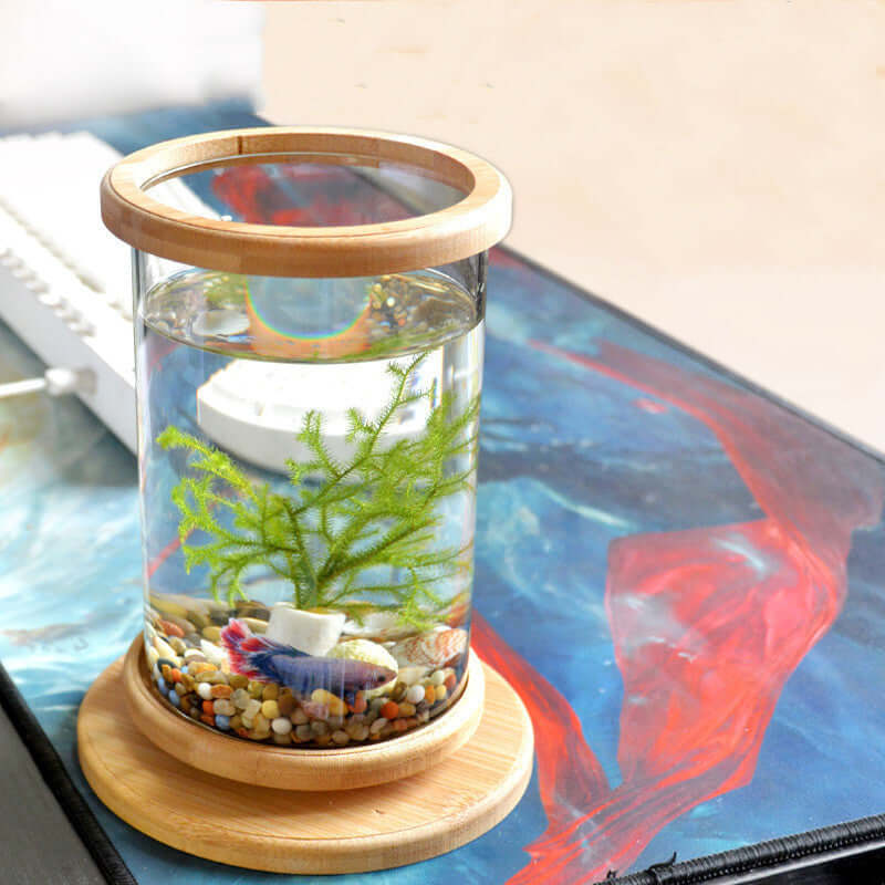 Mini aquarium en verre avec base en bambou, décoré avec des pierres et une plante aquatique, parfait pour un espace de travail.