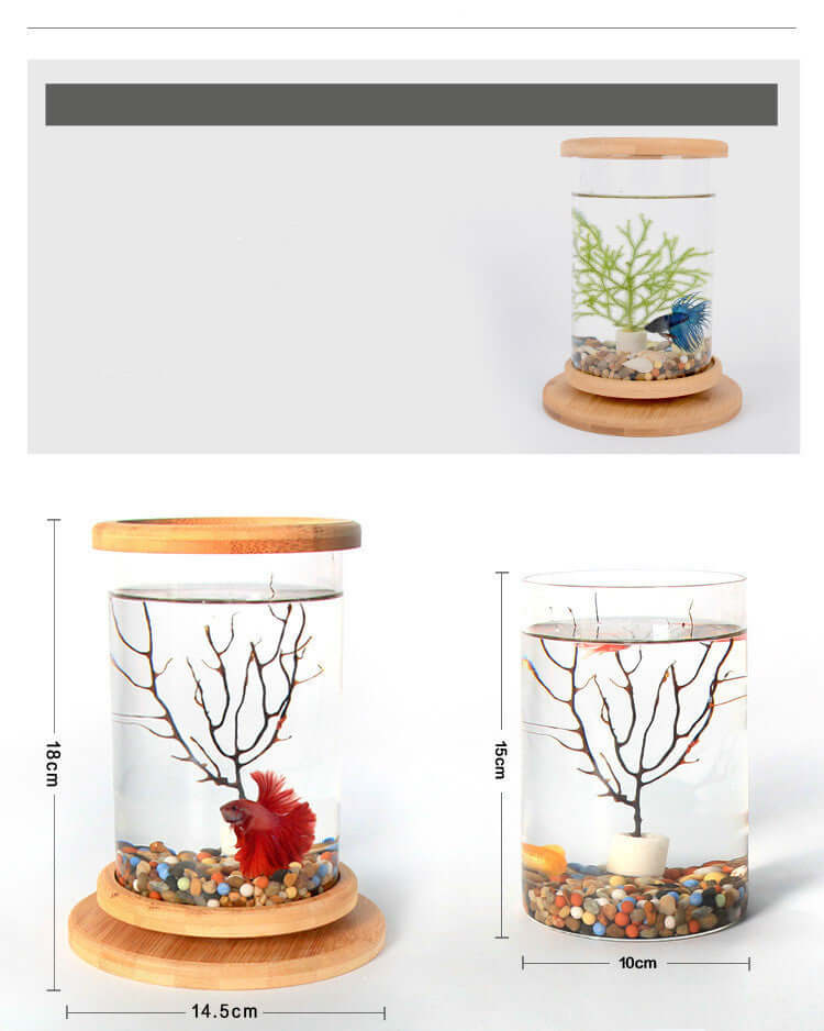 Mini aquarium en verre avec base en bambou et décoration naturelle pour un espace de travail apaisant.