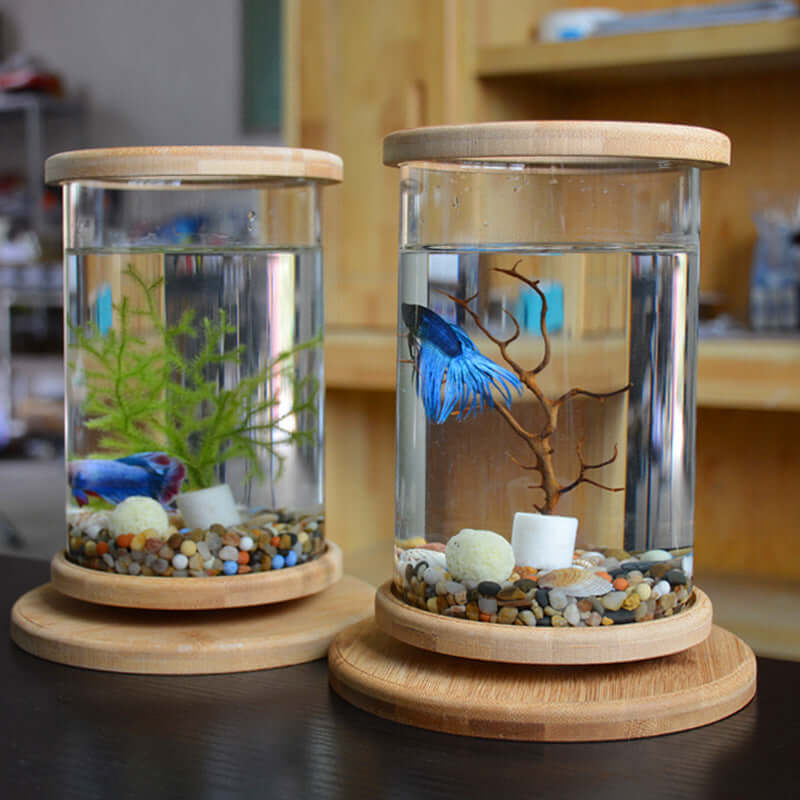 Mini aquarium en verre avec base en bambou, décor naturel pour bureau, contenant plantes et poissons colorés.
