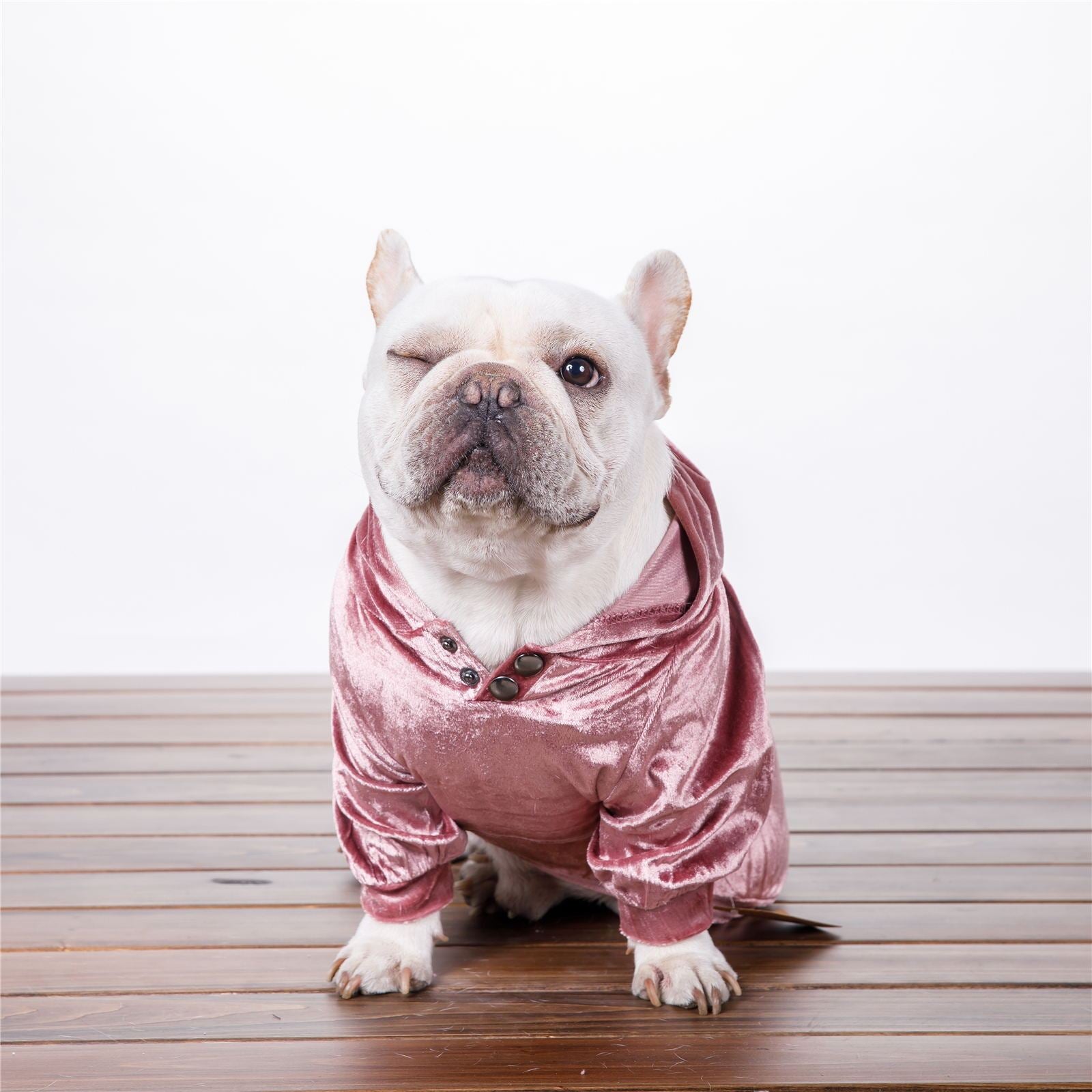 Chien portant un pull à capuche en velours rose, style confortable pour l'automne et l'hiver.