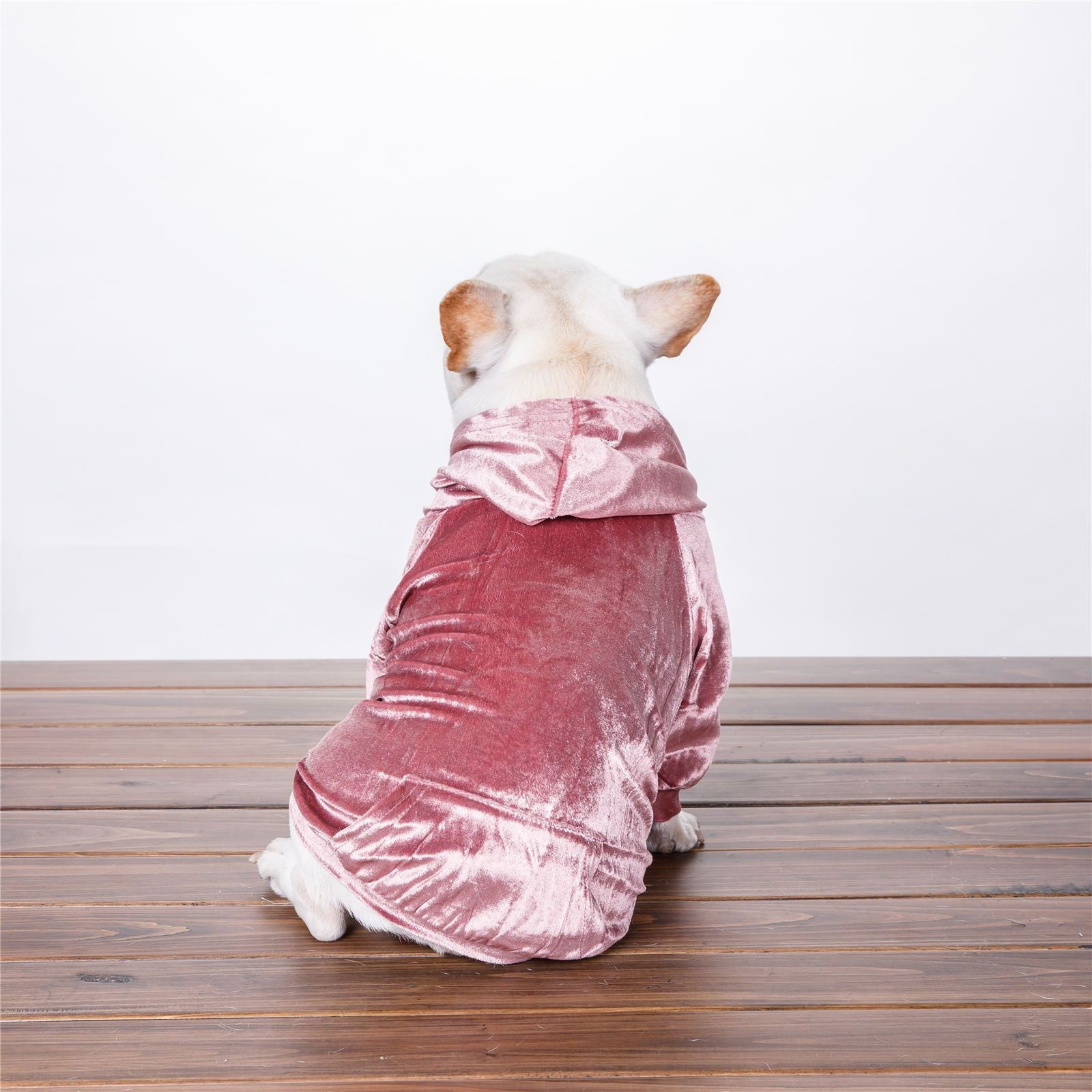 Chien portant un pull à capuche en velours rose, idéal pour l'automne et l'hiver, confortable et stylé.