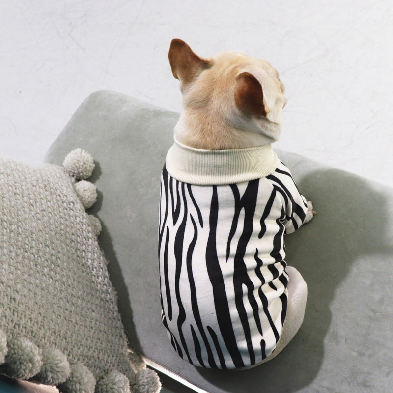 Petit chien en pull épais à rayures zebre, prêt pour l'automne et l'hiver, confort et style.