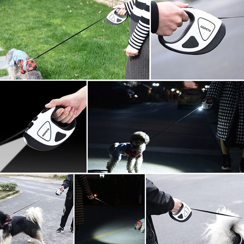 Laisse rétractable pour grand chien avec éclairage, conçue pour promenades confortables et sécurisées la nuit.