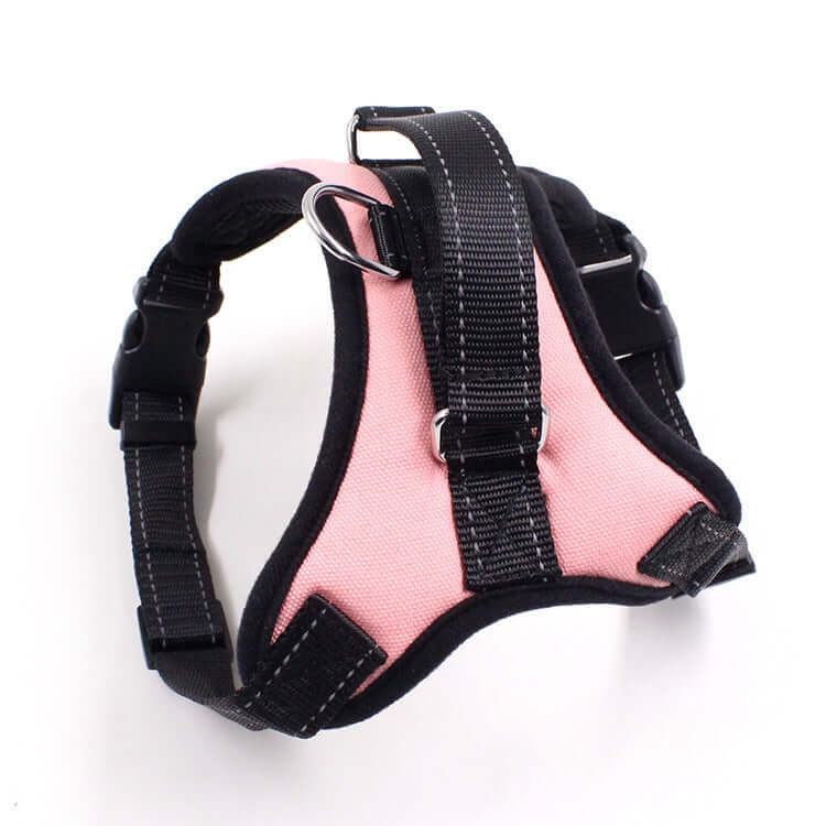 Harnais pour chien et chat en nylon, alliant confort et sécurité pour vos promenades.