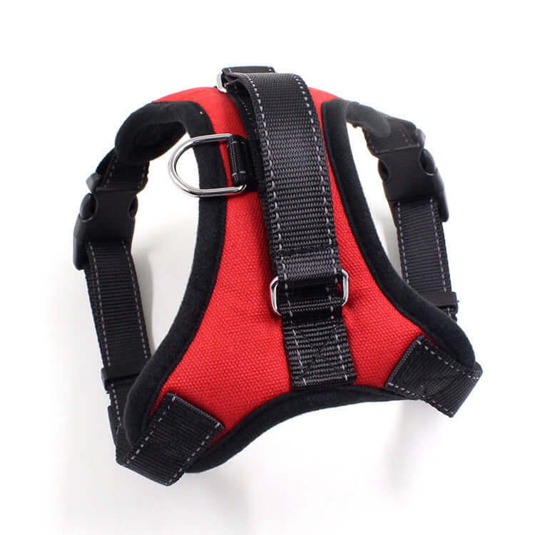 Harnais pour chien et chat en nylon rouge, alliant confort et sécurité pour promenades