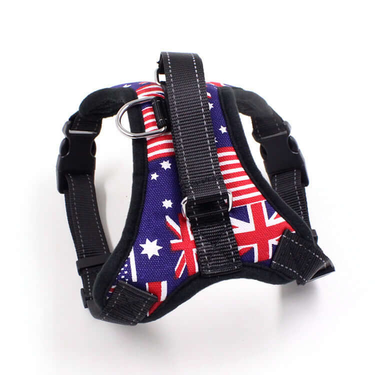 Harnais pour chien avec motif australien, conçu pour confort et sécurité lors des promenades.